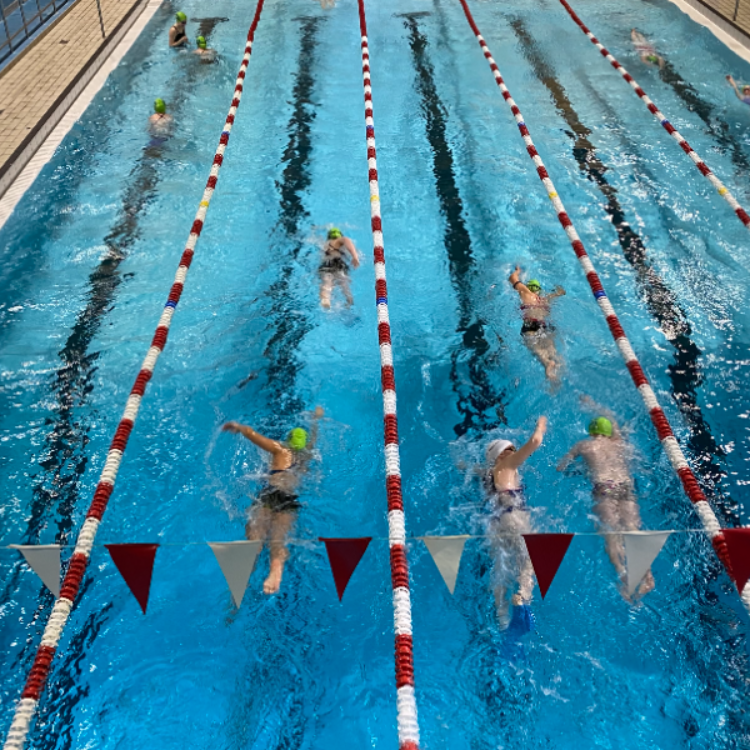 TRI, Masters & Open Water for de erfarne tryout image
