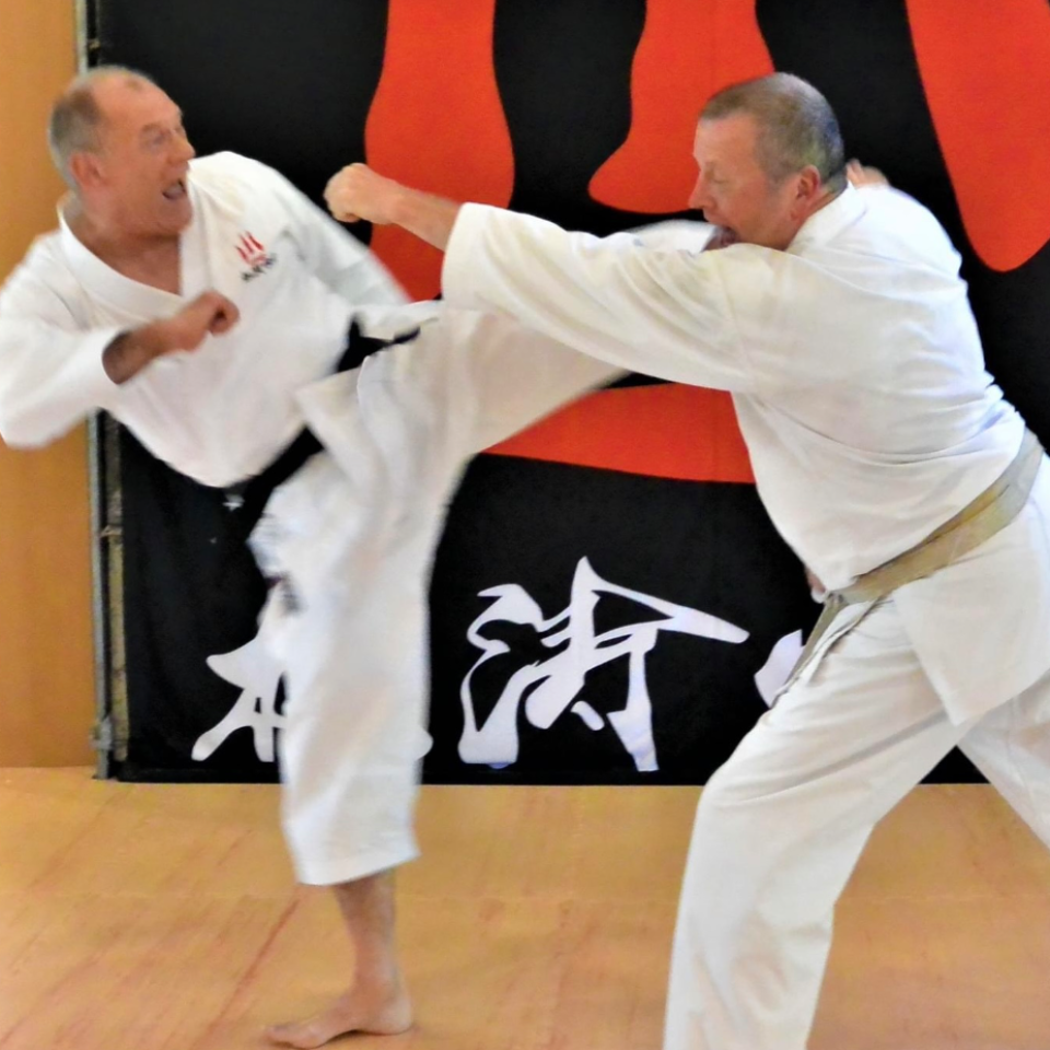Karate for alle aldre tryout image