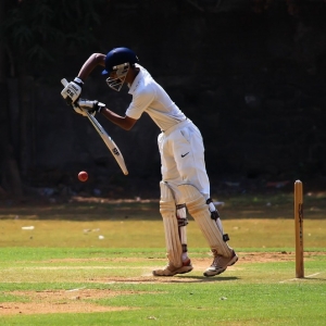 Cricket
