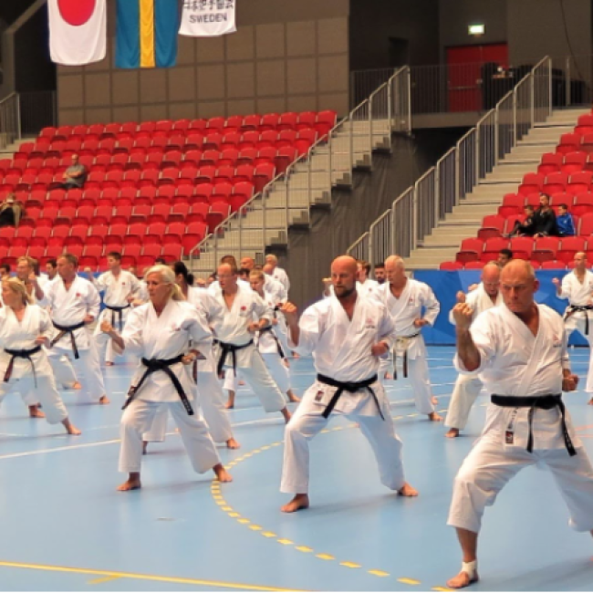 Karate for øvede tryout image