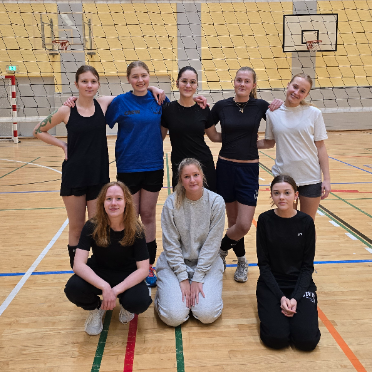 Volleyball for nye og let øvede damer tryout image