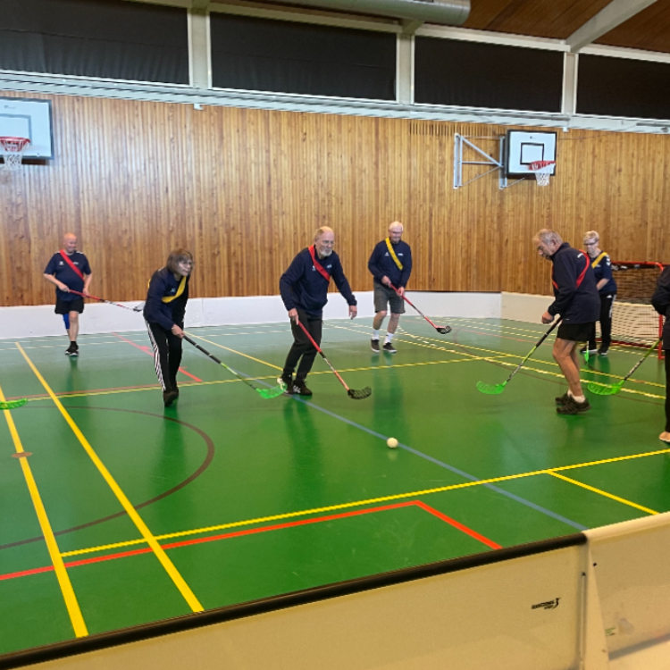 Motionsfloorball for voksne og seniorer tryout image