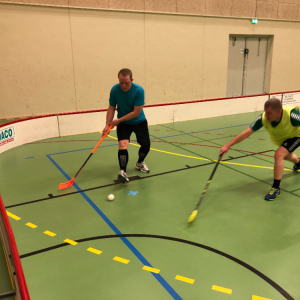 Motionsfloorball for voksne