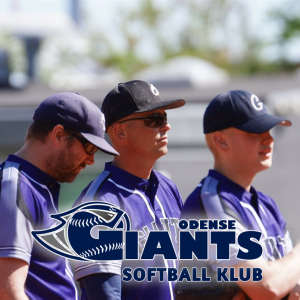 Herre - Softball for alle