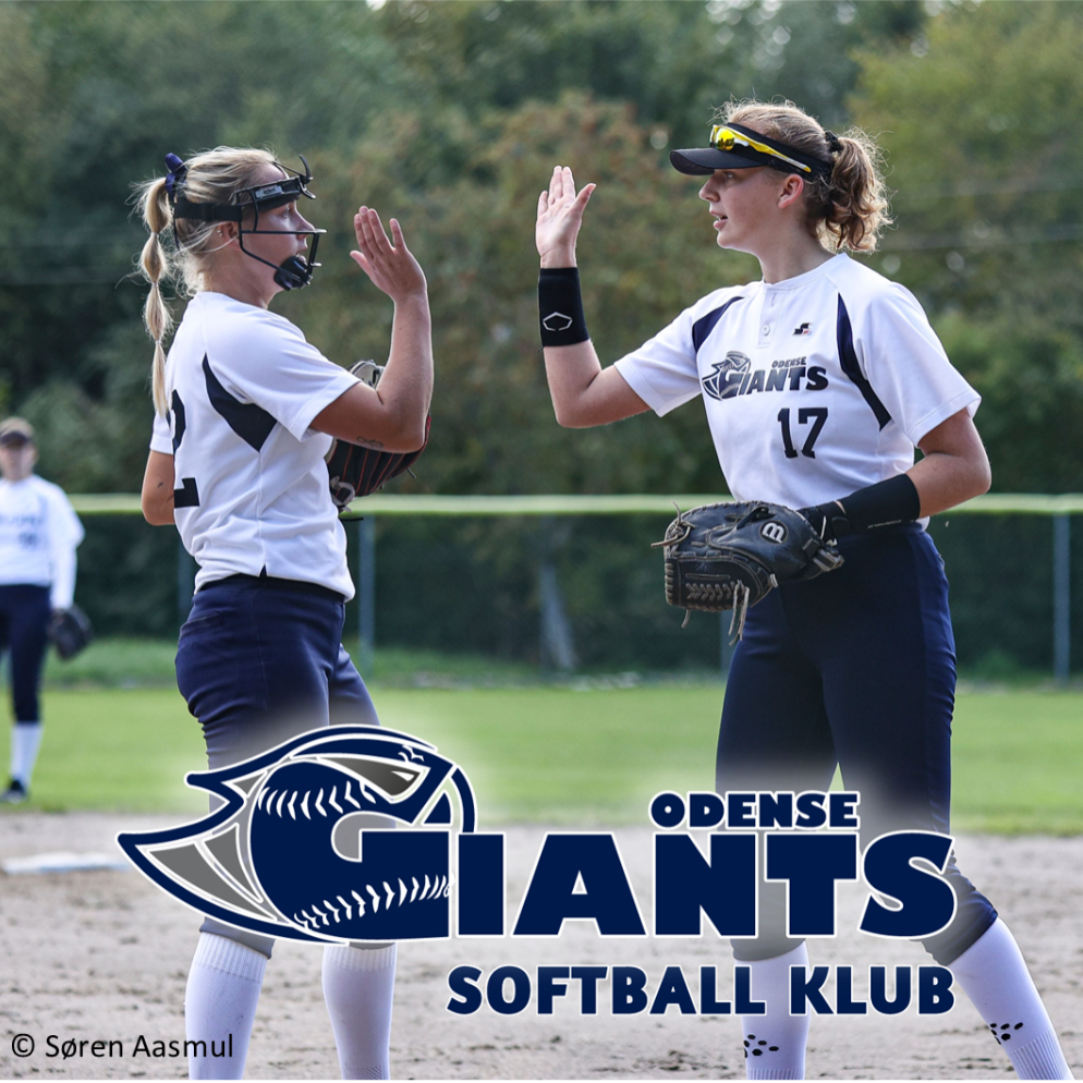dame-1-division-softball-for-alle-1707064178