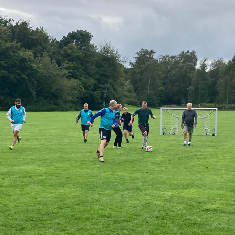 Onsdagssneglene (hygge- og motionsfodbold) tryout image