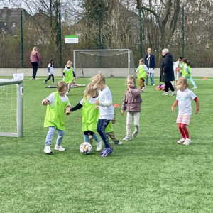 Pigefodbold U8 / U9 / Årgang 2016-2017