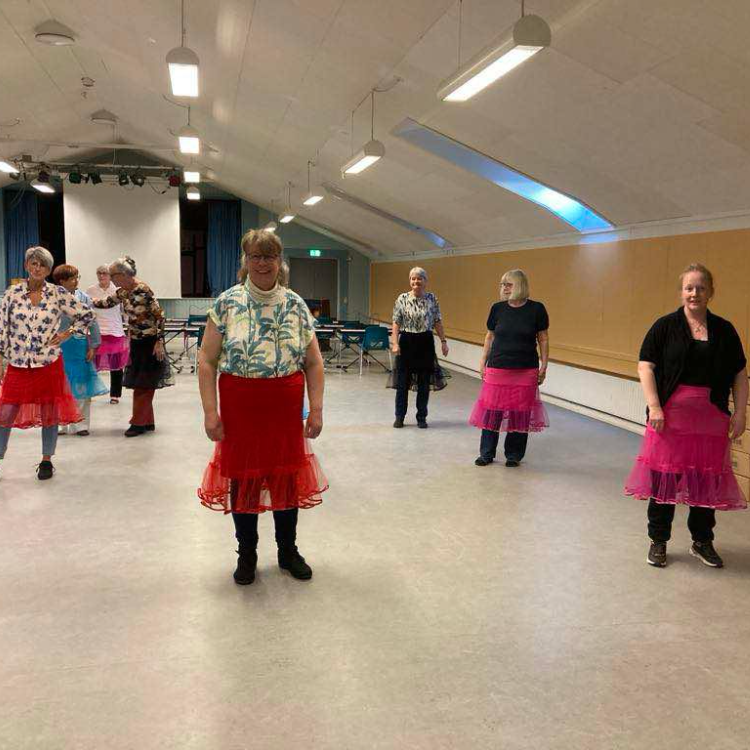 Line dance for let-øvet tryout image