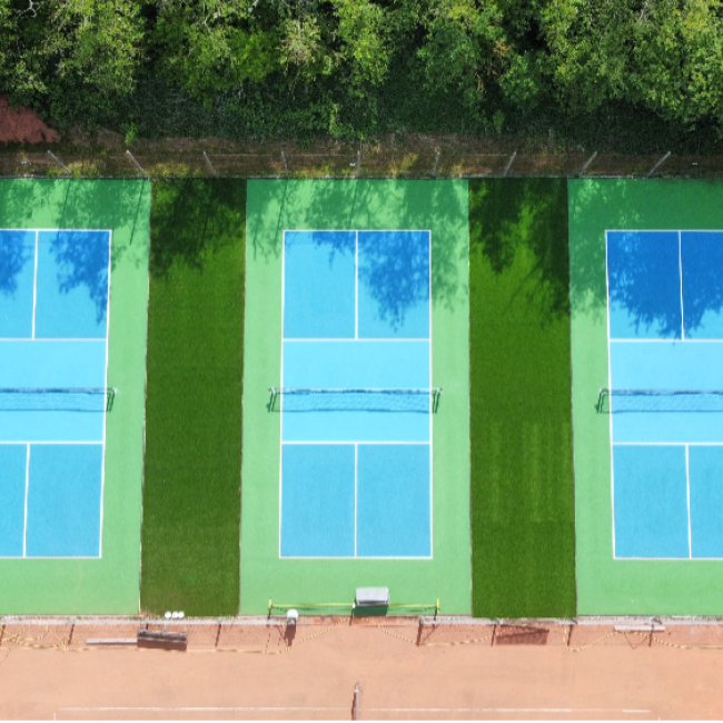 Pickleball tryout image