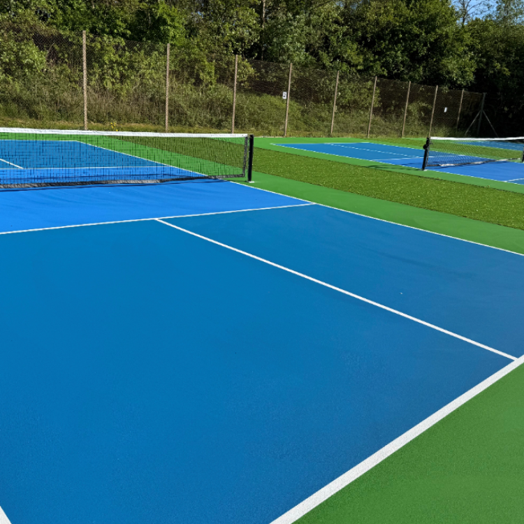 Pickleball tryout image