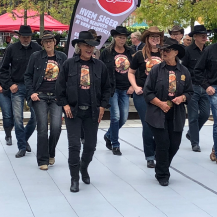 Line Dance - Begyndere
