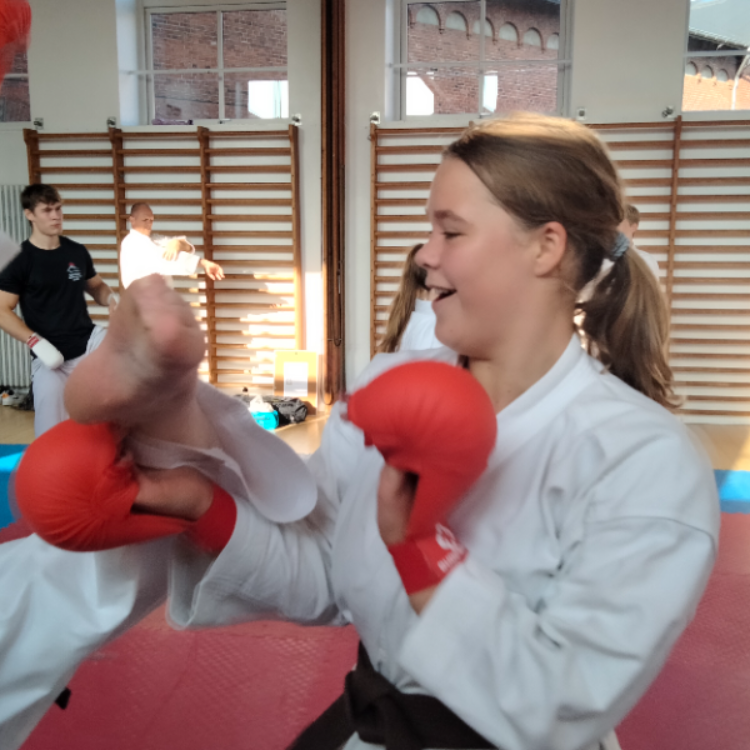 Introduktion til Karate
