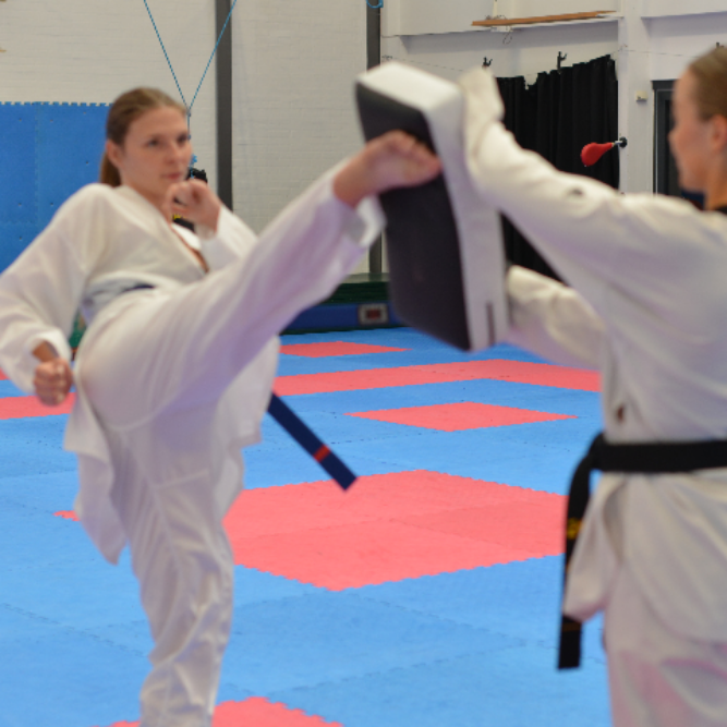 Taekwondo for Voksne (15+) tryout image
