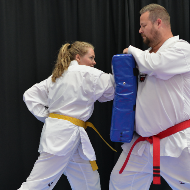Taekwondo for Voksne (15+) tryout image