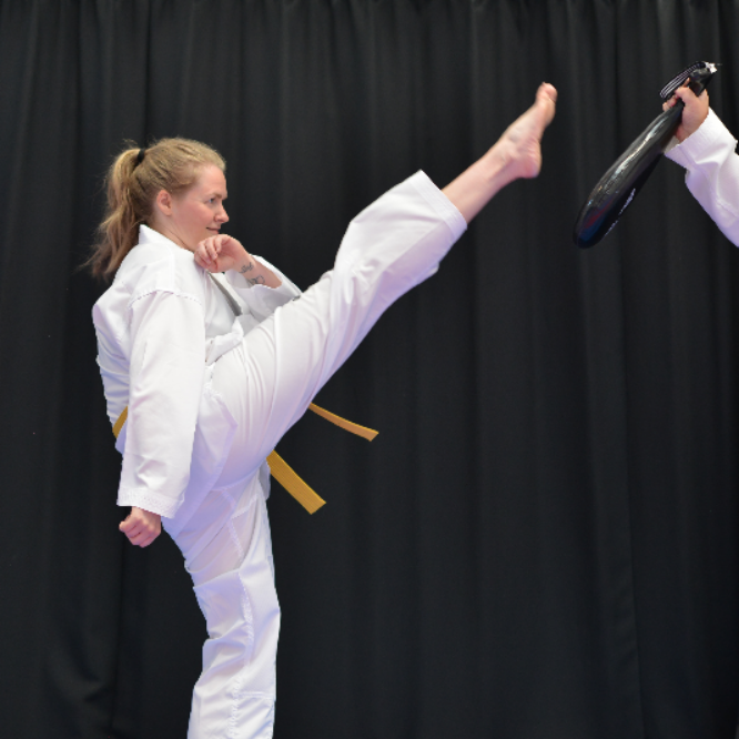 Taekwondo for Voksne (15+) tryout image