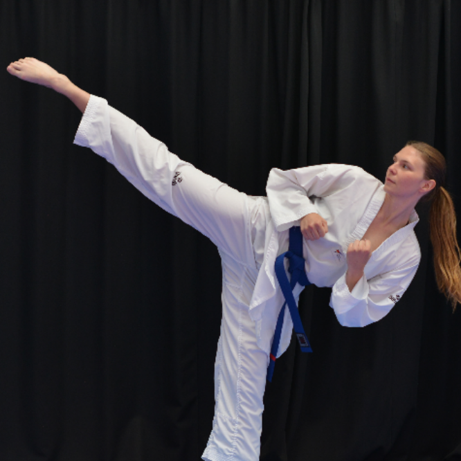 Taekwondo for Voksne (15+) tryout image