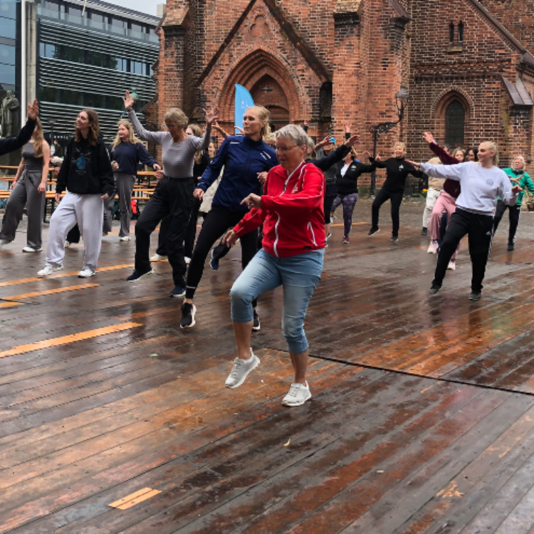 Fitnessdans og Styrke