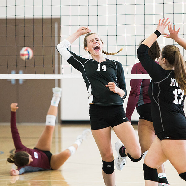 image_sports.volleyball