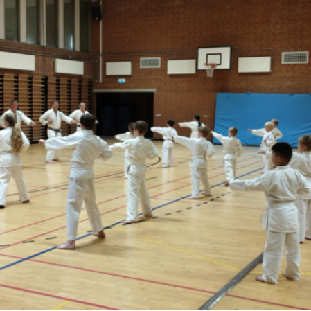 Karate