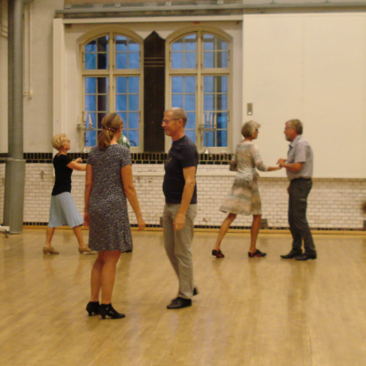 Du vil blive undervist i  Standard- og Latin Dans  tryout image