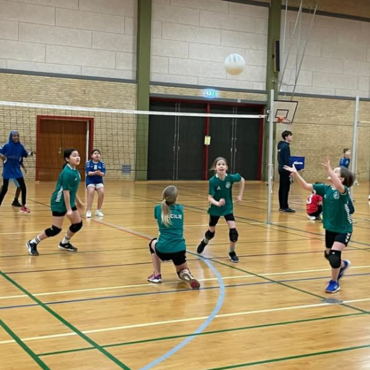 Kidsvolley for 0. - 5. klasse tryout image