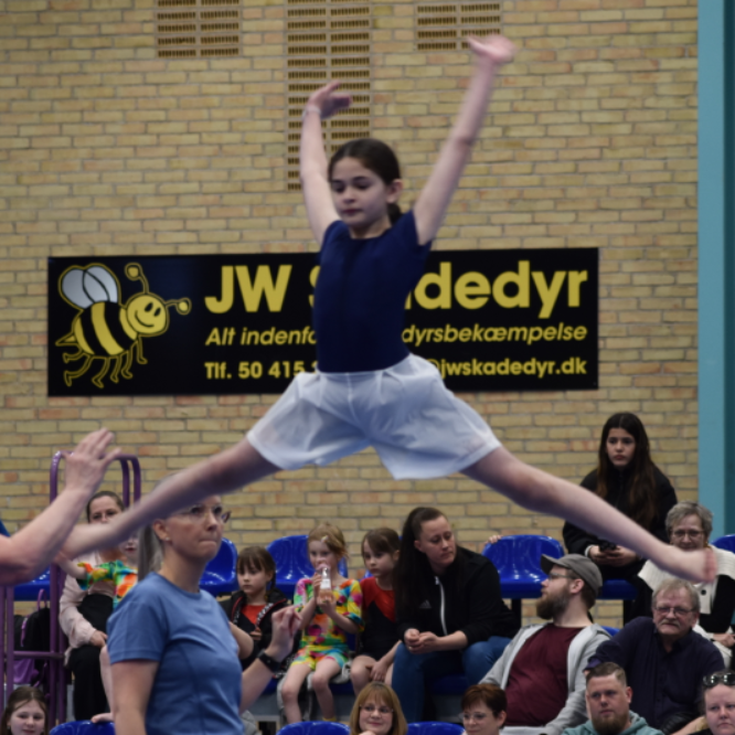 MGF`s  Acro-spring-rytme hold er et nyt hold. tryout image
