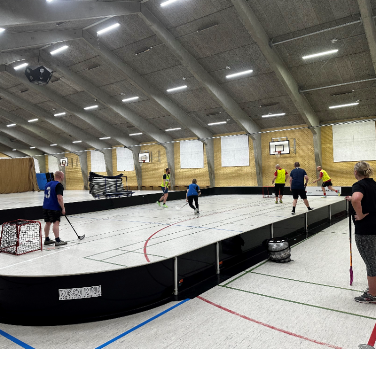 Motionsfloorball for alle 