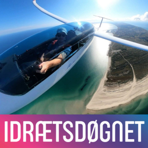 Svævefly 