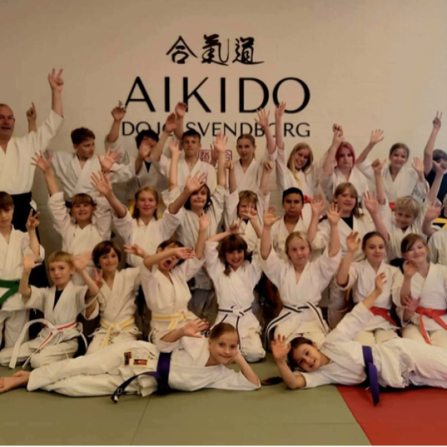 Aikido Kidz 6-10 år tryout image