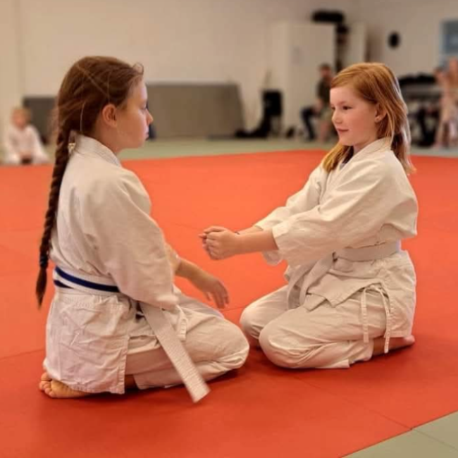 Aikido Kidz 6-10 år tryout image