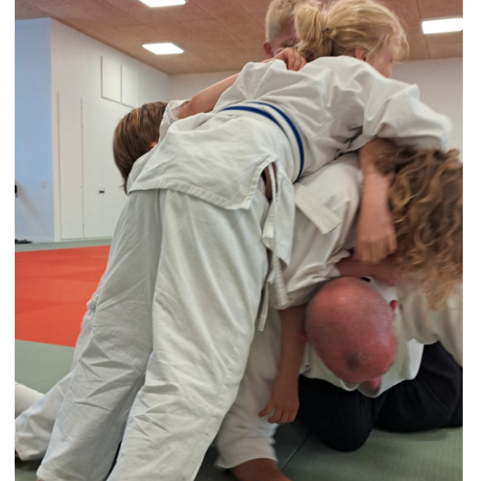 Aikido Kidz 6-10 år tryout image