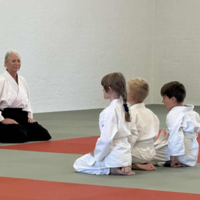 Aikido Kidz 6-10 år tryout image