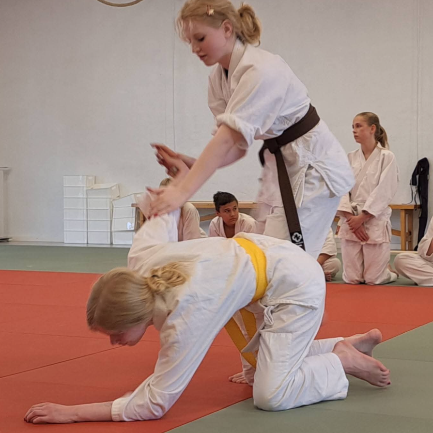 Aiki Junior 11-14 år tryout image