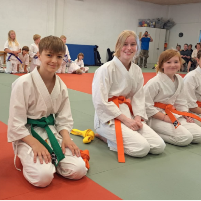 Aiki Junior 11-14 år tryout image
