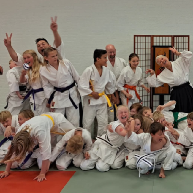 Aiki Junior 11-14 år tryout image