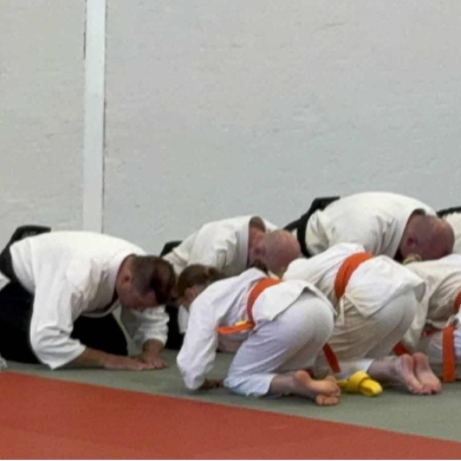Aiki Junior 11-14 år tryout image