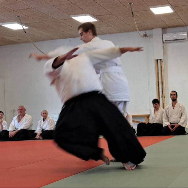 Aiki CORE - 13år-20+ tryout image