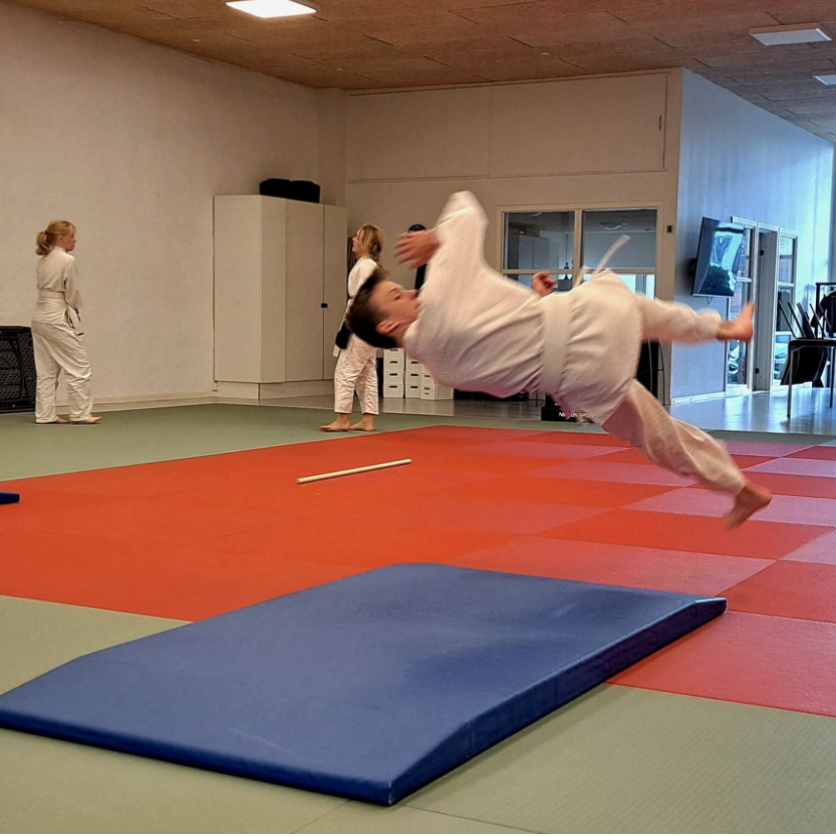 Aiki CORE - 13år-20+ tryout image