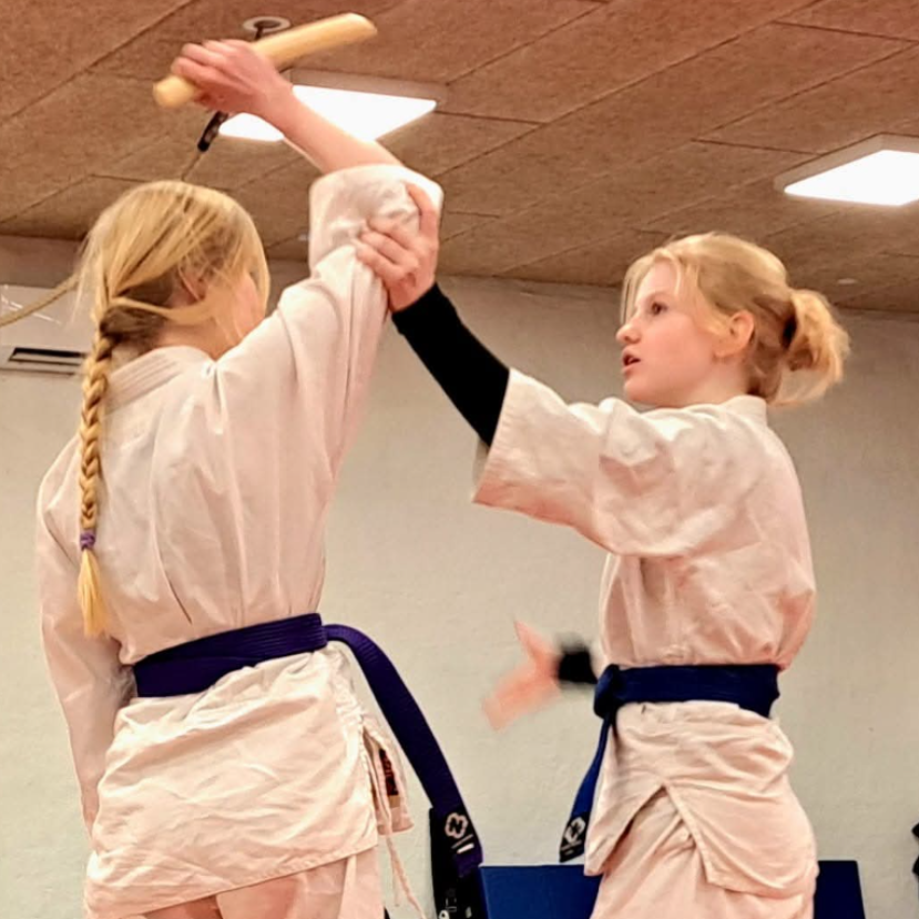 Aiki CORE Power - ung/voksne (mix) tryout image