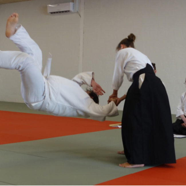 Aiki CORE Power - ung/voksne (mix) tryout image
