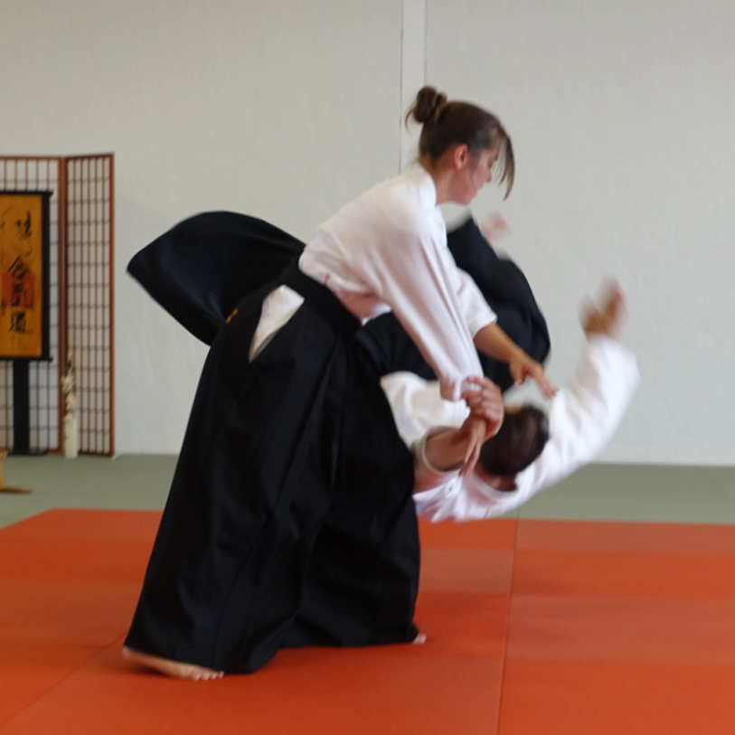 Aiki CORE Power - ung/voksne (mix) tryout image