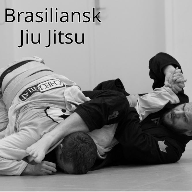 Aalborg Try Out - Brasiliansk Jiu Jitsu