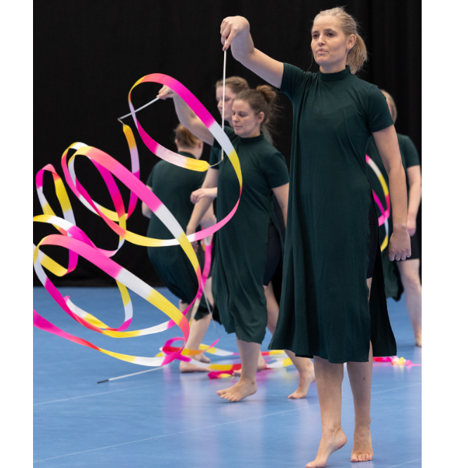 30+ tryout image
