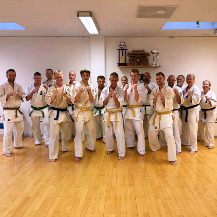 Karate beynderhold - voksne tryout image