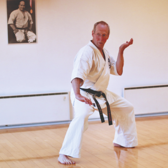 Karate beynderhold - voksne tryout image