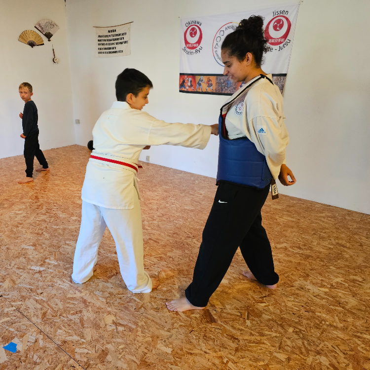 Okinawa Shorin-Ryu Karate tryout image