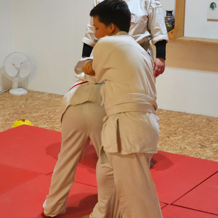 Okinawa Shorin-Ryu Karate tryout image