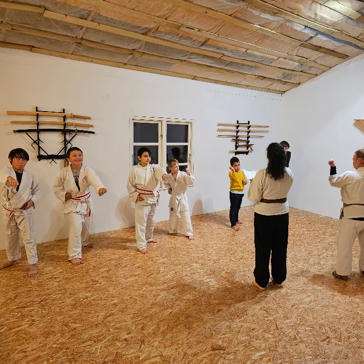 Okinawa Shorin-Ryu Karate tryout image