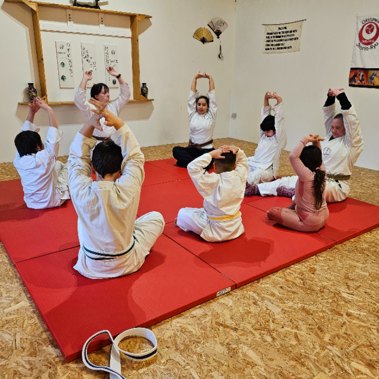 Okinawa Shorin-Ryu Karate tryout image
