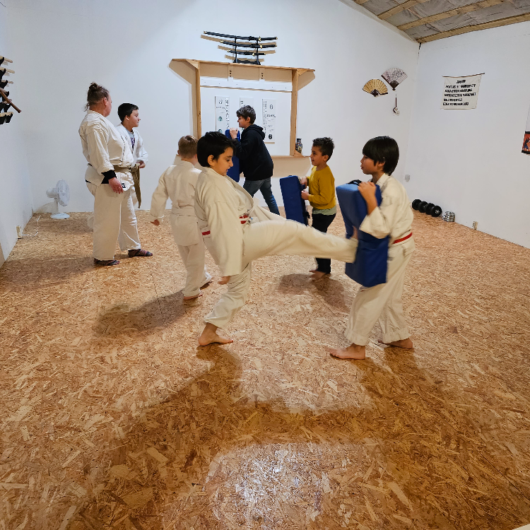 Okinawa Shorin-Ryu Karate tryout image